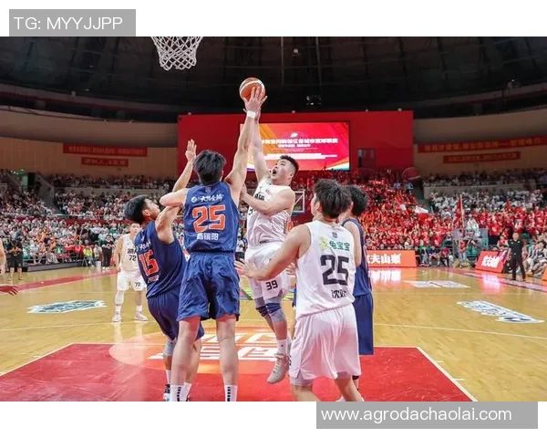 刘铮的奋斗历程与篮球梦想如何在赛场上绽放光彩与激情